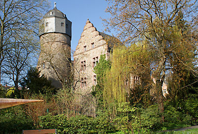 Botanischer Garten